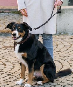 Helensaxon.shop0301df5674 3