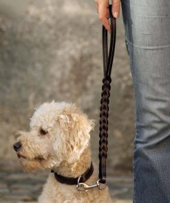 Helensaxon.shop0301df5674 5