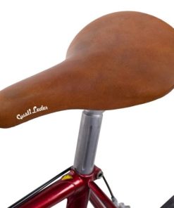 Helensaxon.shop1d8b77a575 1