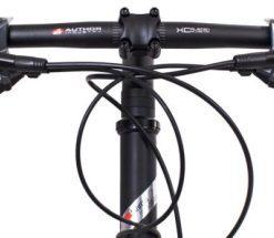 Helensaxon.shop285f7ffd7c 3