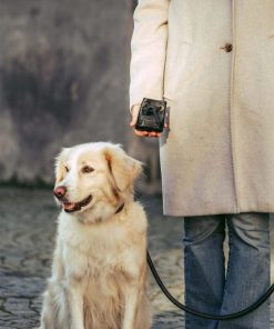 Helensaxon.shop2b62b4fc4a 1