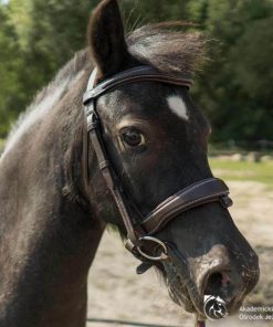 Helensaxon.shop34b51a9325 1