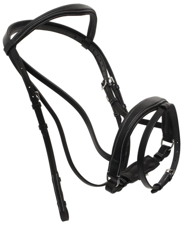 Helensaxon.shop34b51a9325 2