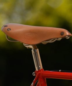 Helensaxon.shop4712ef15d2 3