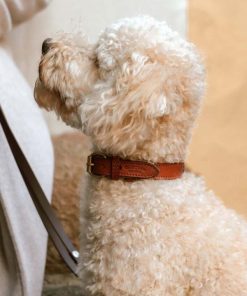 Helensaxon.shop725033470d 1