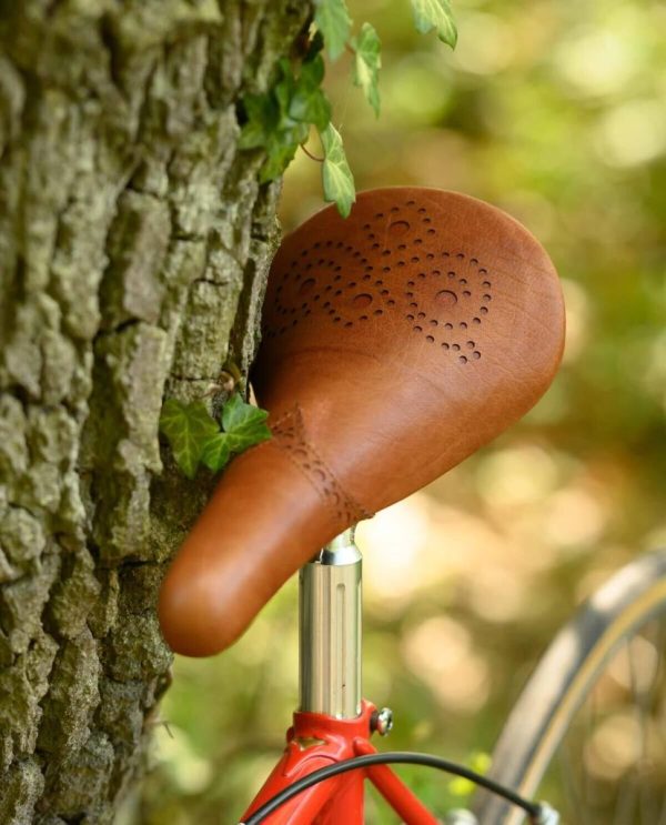 Helensaxon.shop791f22584c 4