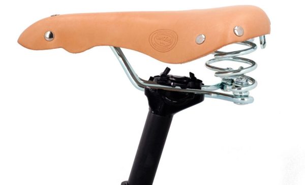 Helensaxon.shopb2383a96eb 2