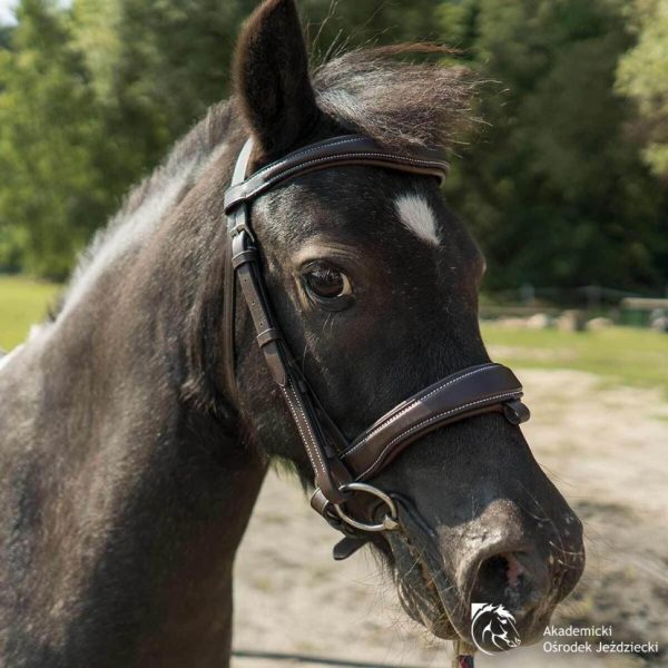 Helensaxon.shopc0629be28c 1