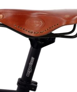 Helensaxon.shopd381a2912e 2