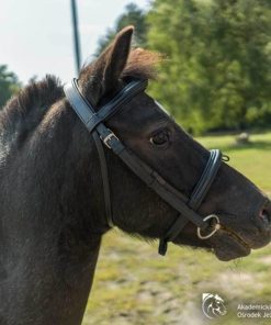 Helensaxon.shopd9db2de67e 1