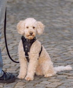 Helensaxon.shopdb0cccb78d 1