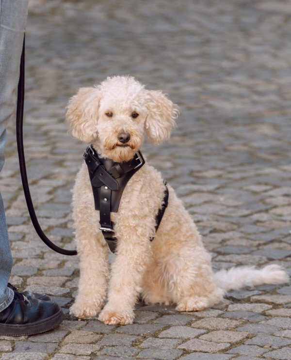 Helensaxon.shopdb0cccb78d 1