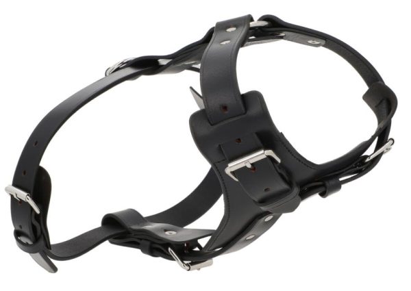 Helensaxon.shopdb0cccb78d 2