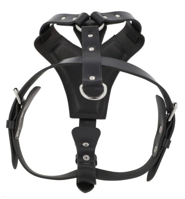 Helensaxon.shopdb0cccb78d 5