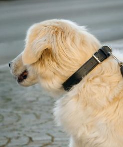 Helensaxon.shopf1e75ec5ba 1